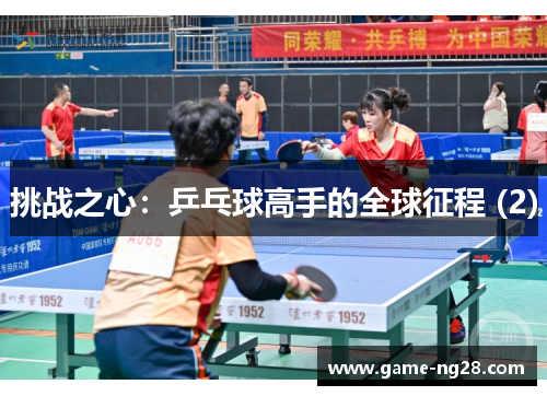 挑战之心：乒乓球高手的全球征程 (2)