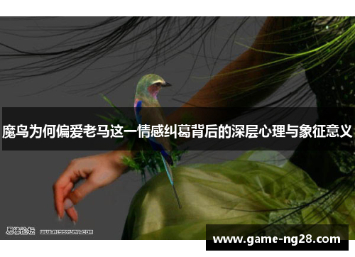 魔鸟为何偏爱老马这一情感纠葛背后的深层心理与象征意义